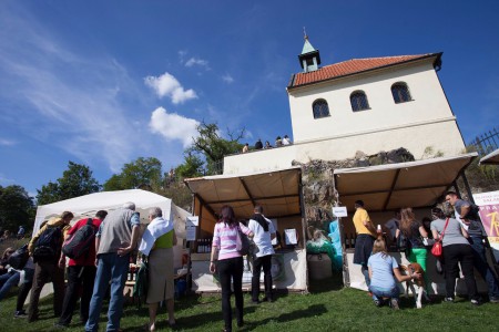 botanicka-zahrada-hl-m-prahy-troja-fata-morgana - VINICE